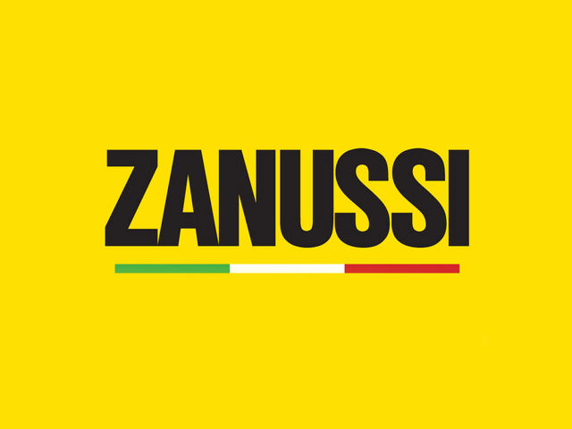 Ремонт стиральных машин Занусси на дому